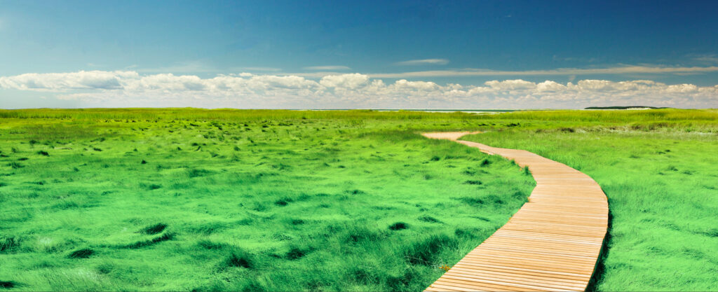 Why use a Document Management Solution?